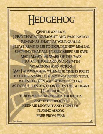 (image for) Hedgehog Prayer - Click Image to Close