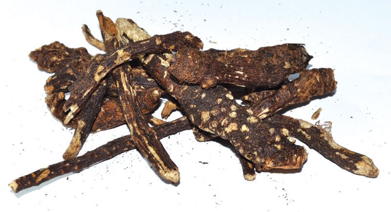 (image for) 1 Lb Osha Root wh - Click Image to Close